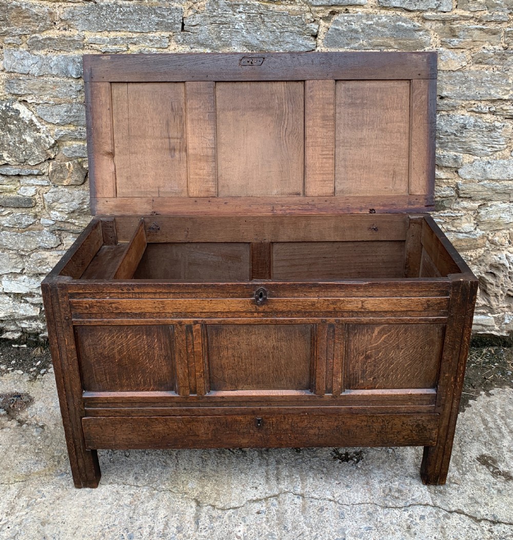 18th Century Georgian Oak Mule Chest View XIV