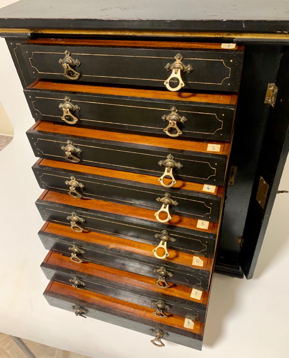 Antique Victorian Ebonised Specimen Cabinet View VII