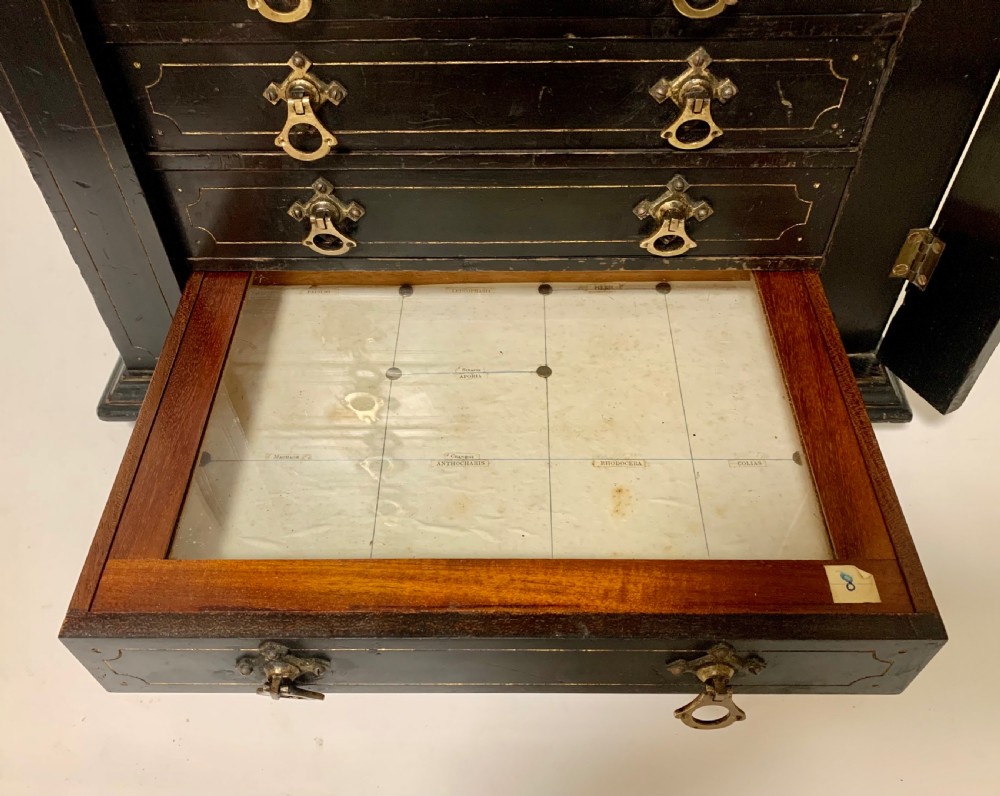 Antique Victorian Ebonised Specimen Cabinet View VIII