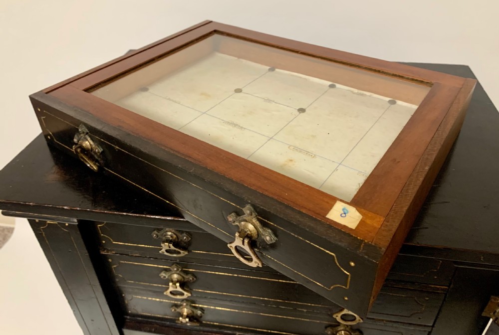 Antique Victorian Ebonised Specimen Cabinet View X