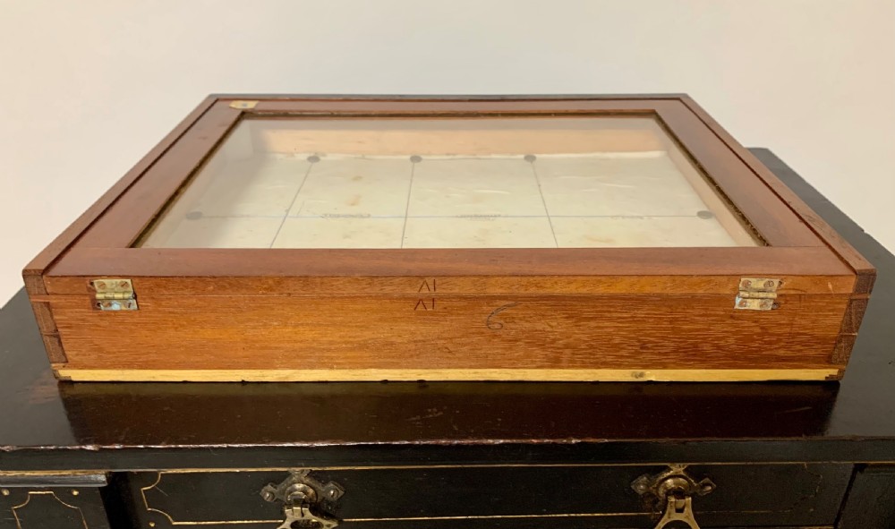 Antique Victorian Ebonised Specimen Cabinet View XII