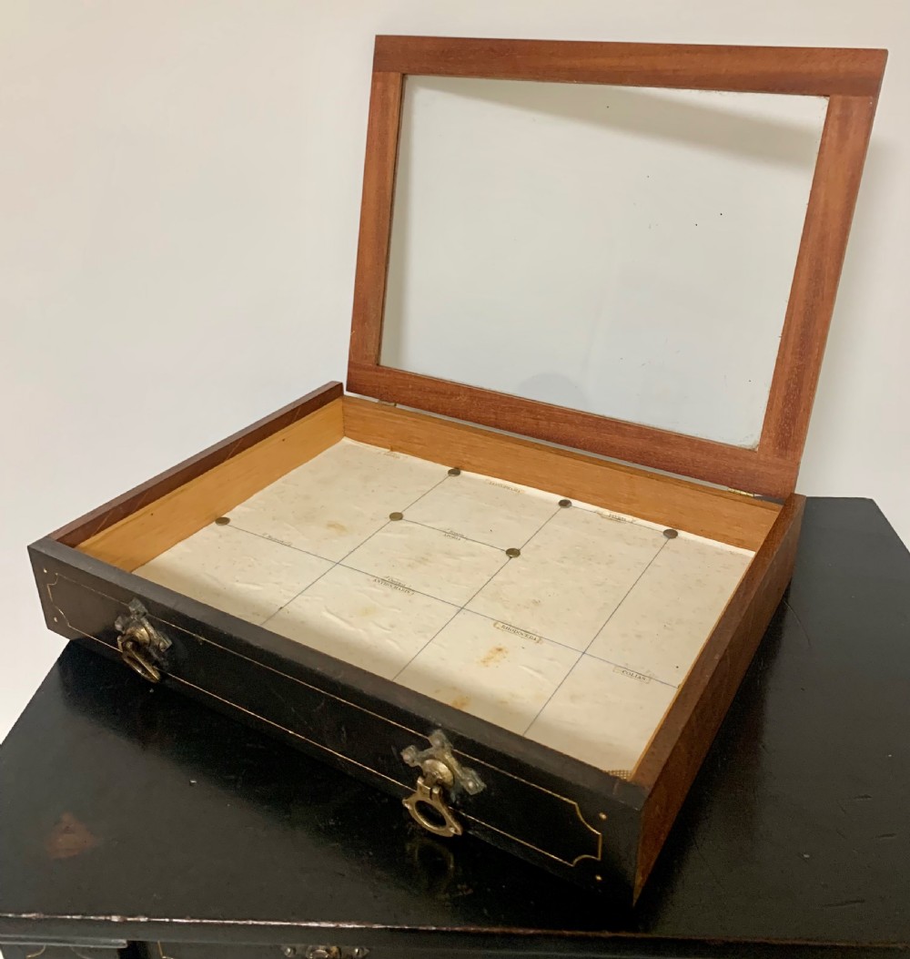 Antique Victorian Ebonised Specimen Cabinet View XIII