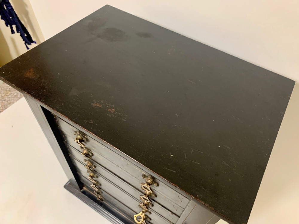 Antique Victorian Ebonised Specimen Cabinet View XIV