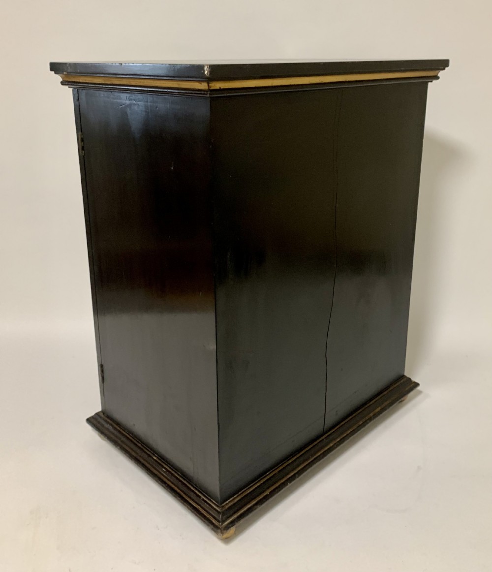 Antique Victorian Ebonised Specimen Cabinet View XVII