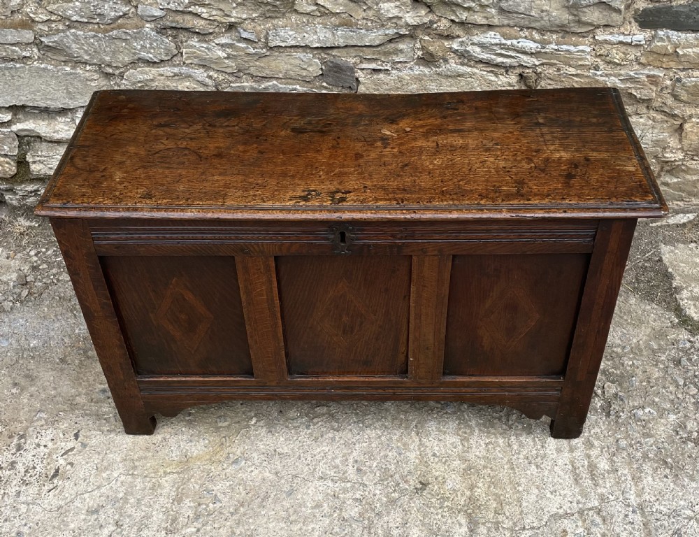 18th Century Oak Coffer View II