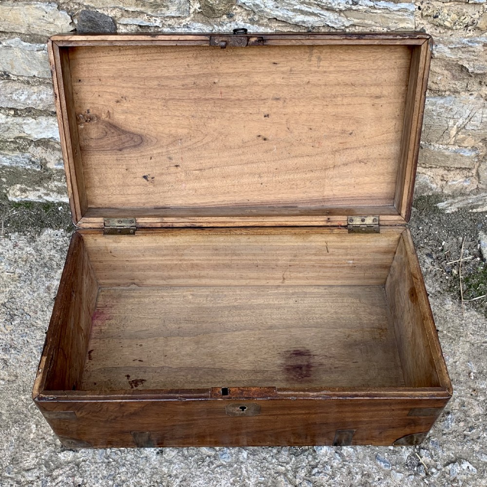 Antique Military Camphor Wood Trunk View IV