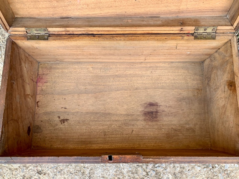 Antique Military Camphor Wood Trunk View VI