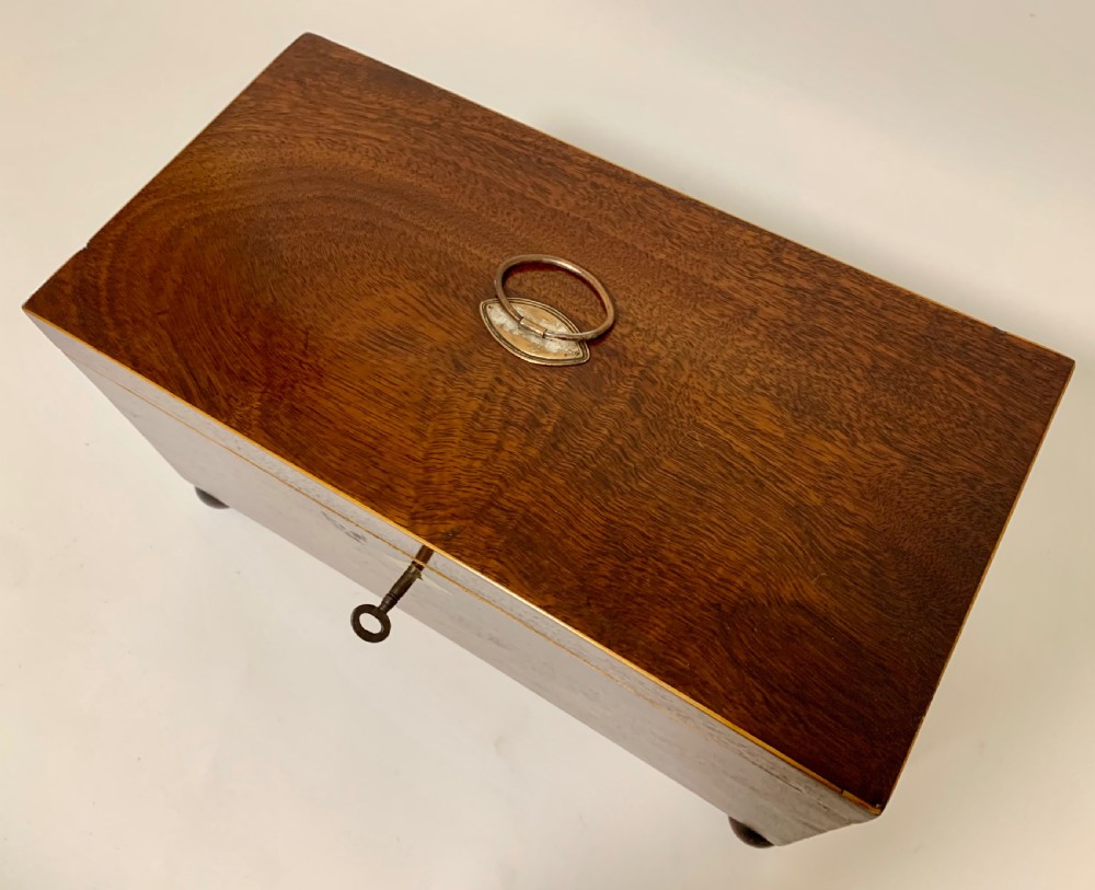 Georgian Mahogany Tea Caddy View III
