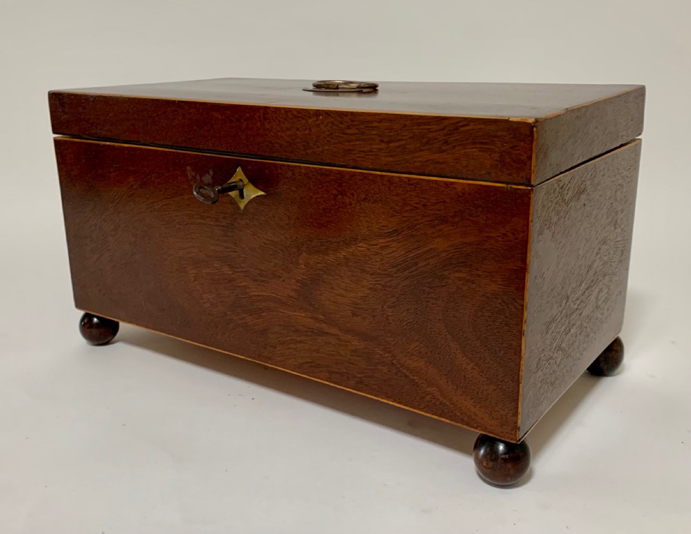 Georgian Mahogany Tea Caddy View VI
