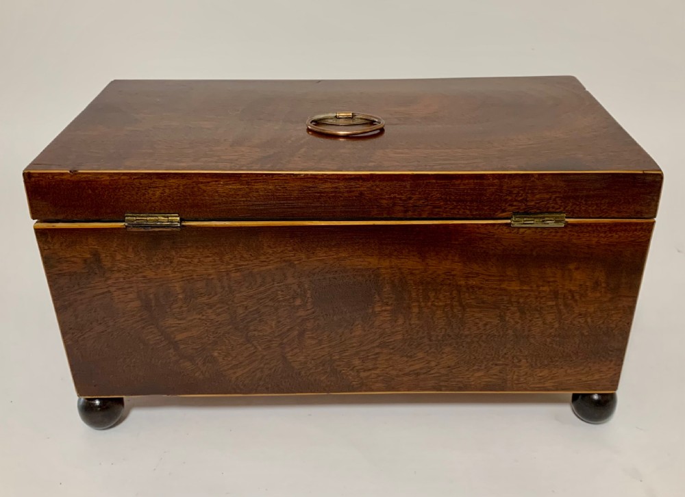 Georgian Mahogany Tea Caddy View VII