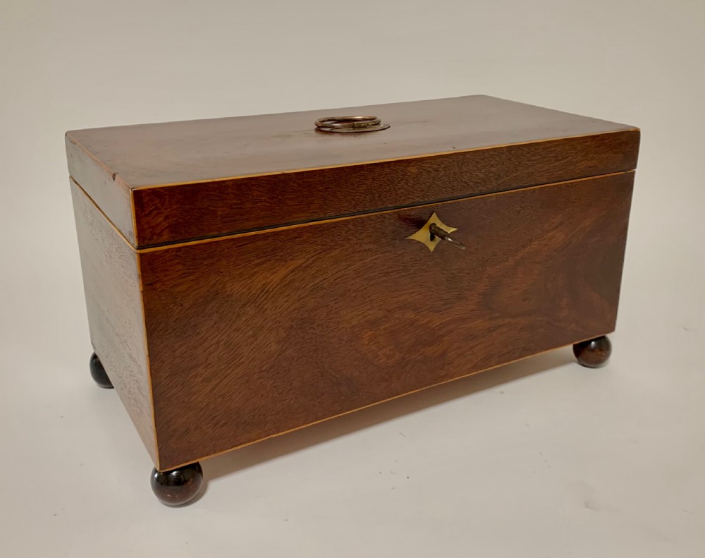 Georgian Mahogany Tea Caddy View IX