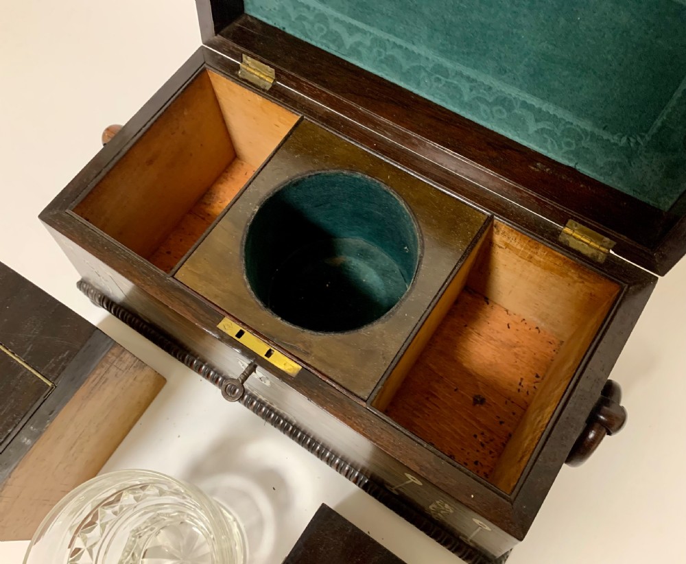 Regency Rosewood Mother of Pearl Inlaid Tea Caddy View XVI