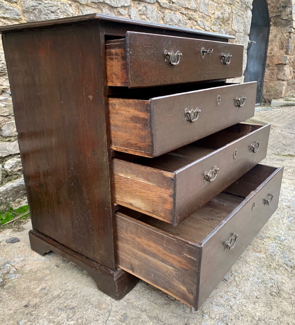 Small Georgian Oak Chest of Drawers View XVI