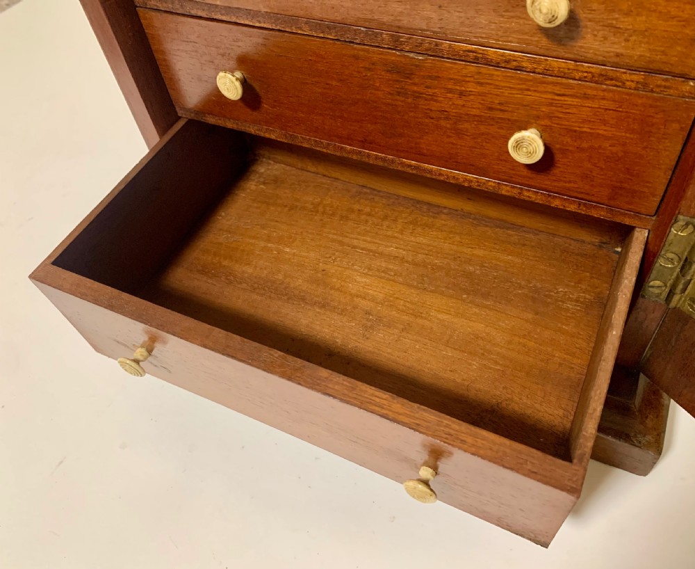 Victorian Mahogany Tabletop Collectors Cabinet View XII