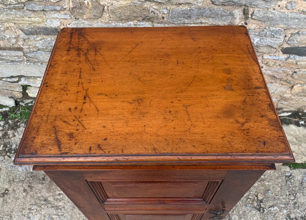 Antique Victorian Oak Single Door Cabinet View VIII