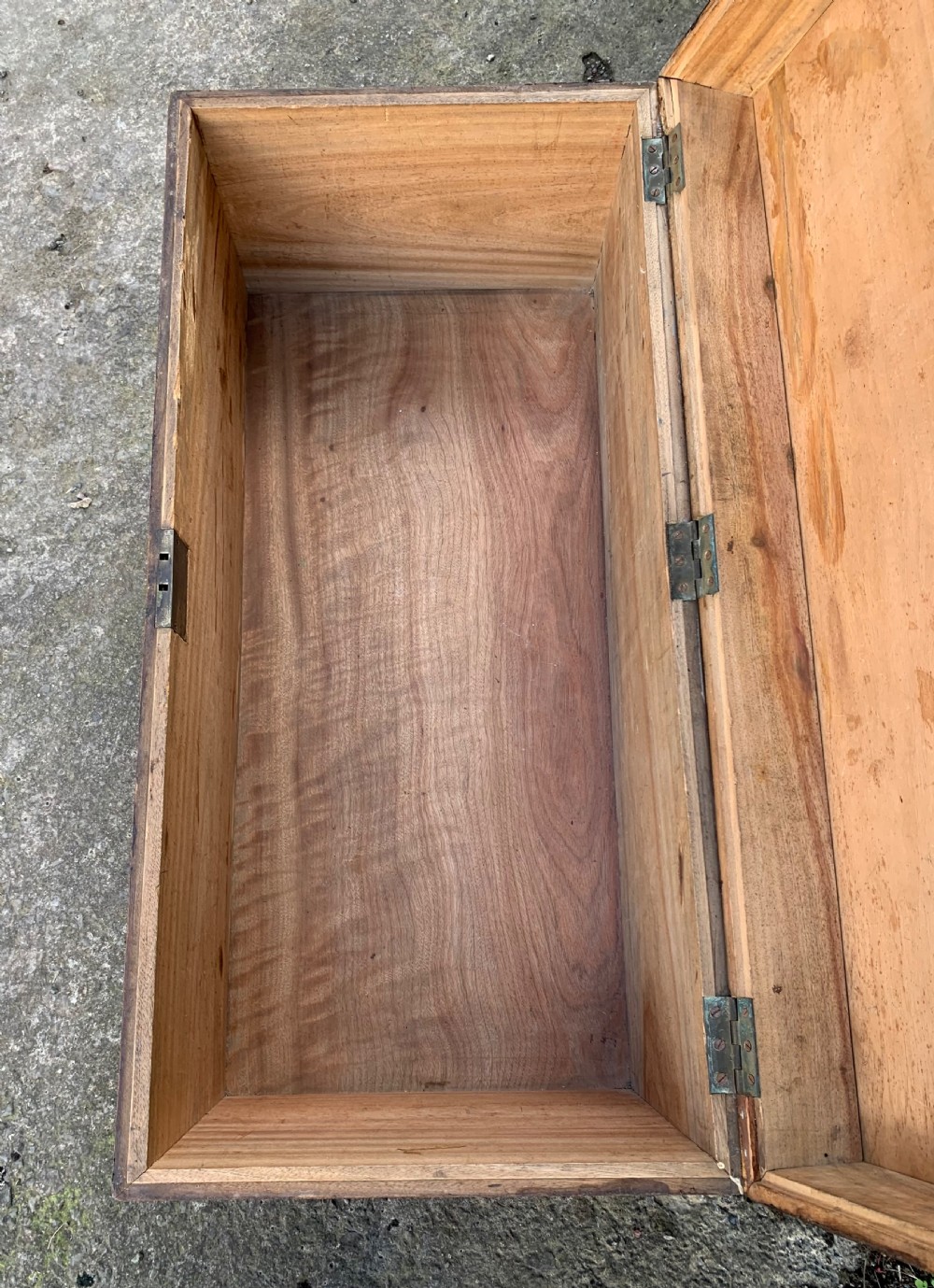 Antique Camphor Wood Military Trunk View VII