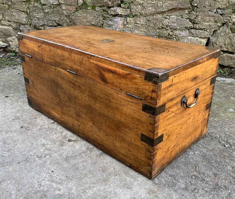 Antique Camphor Wood Military Trunk View XIII