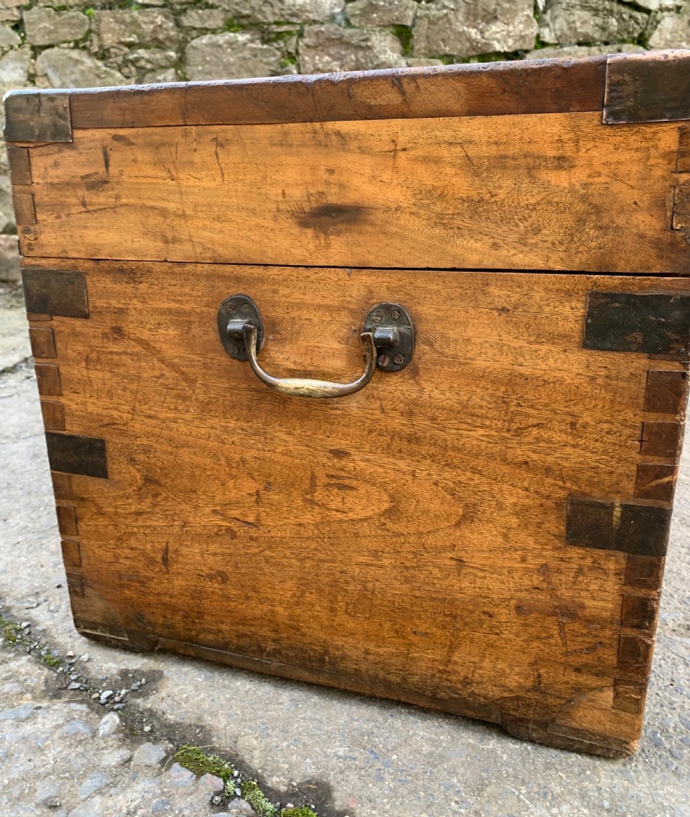 Antique Camphor Wood Military Trunk View XV