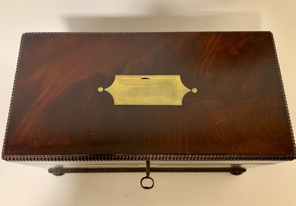 Antique Regency Rosewood Tea Caddy View X