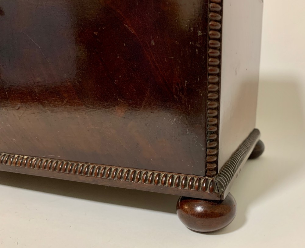 Antique Regency Rosewood Tea Caddy View XI