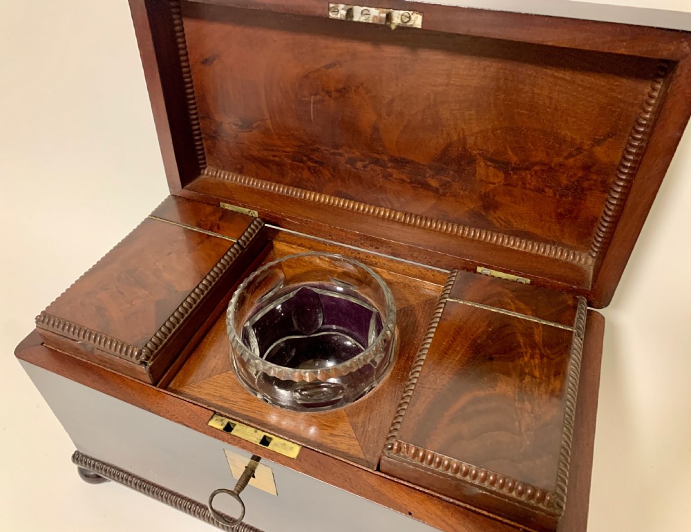 Antique Regency Rosewood Tea Caddy View XII