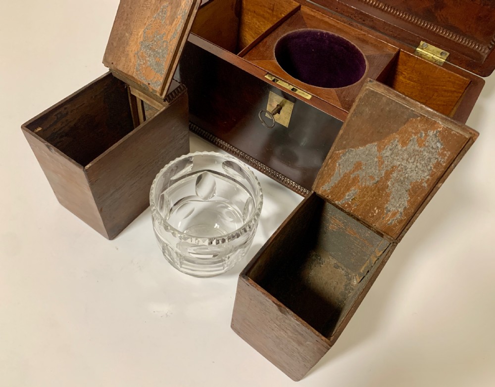 Antique Regency Rosewood Tea Caddy View XIV