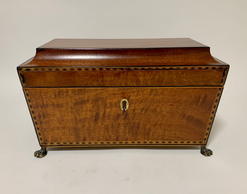 Regency Mahogany Sarcophagus Tea Caddy View II