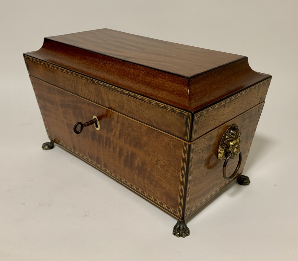 Regency Mahogany Sarcophagus Tea Caddy View III