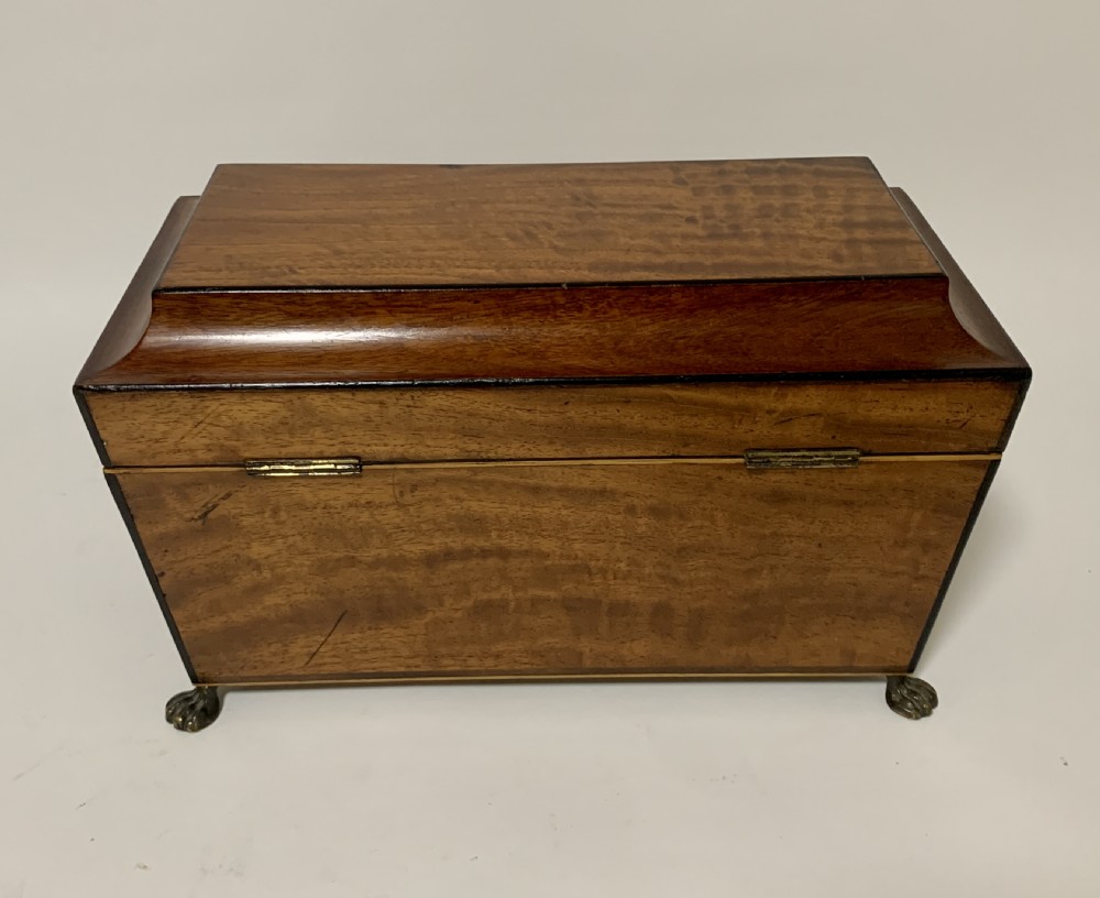 Regency Mahogany Sarcophagus Tea Caddy View V