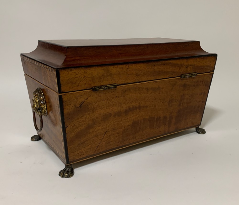 Regency Mahogany Sarcophagus Tea Caddy View VI