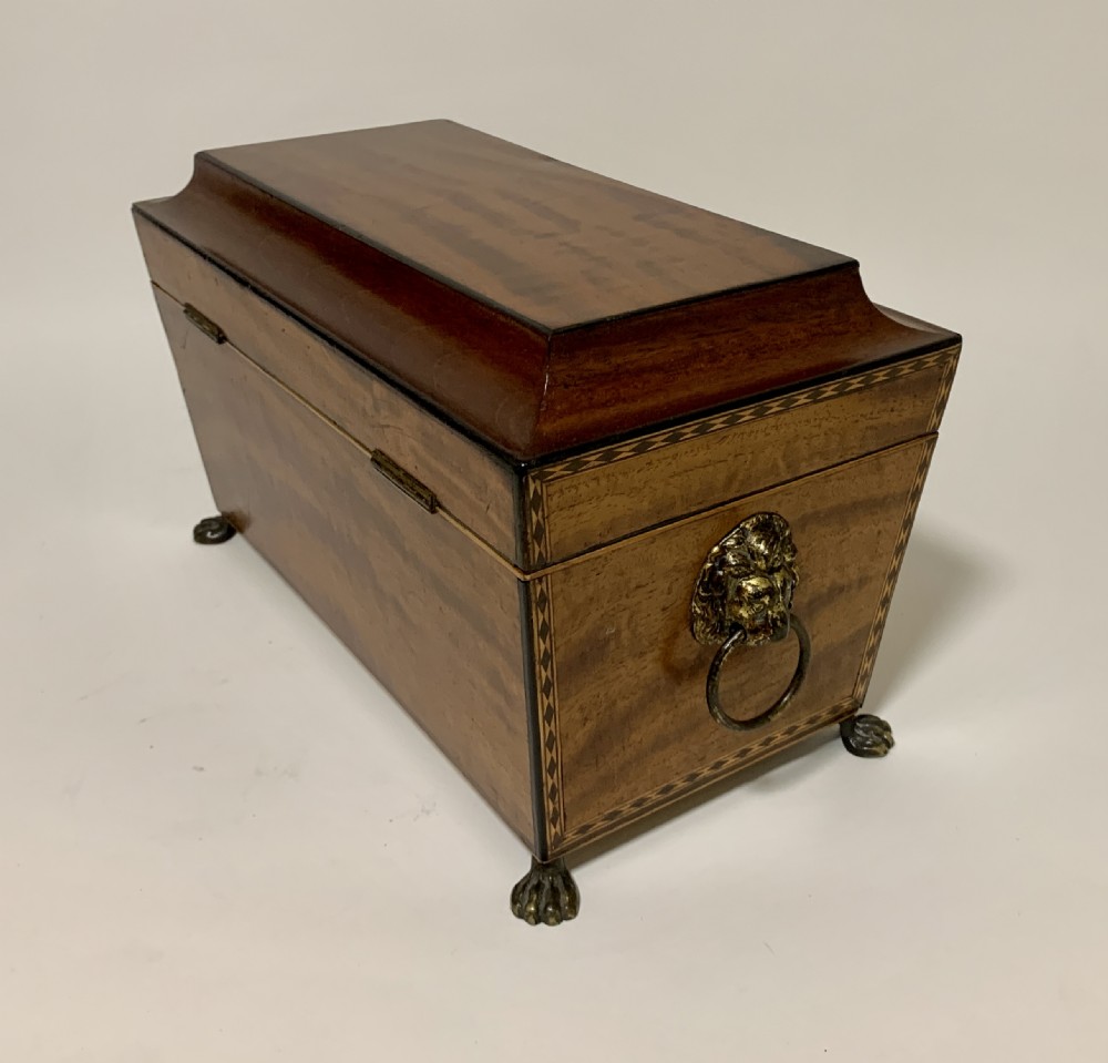 Regency Mahogany Sarcophagus Tea Caddy View VII