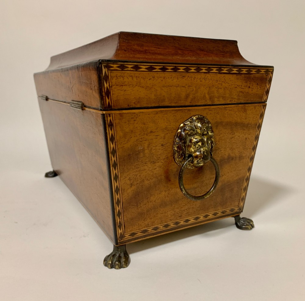 Regency Mahogany Sarcophagus Tea Caddy View VIII