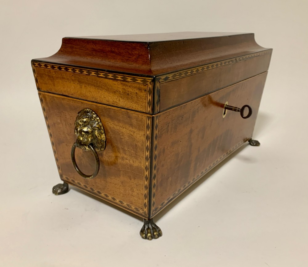 Regency Mahogany Sarcophagus Tea Caddy View IX