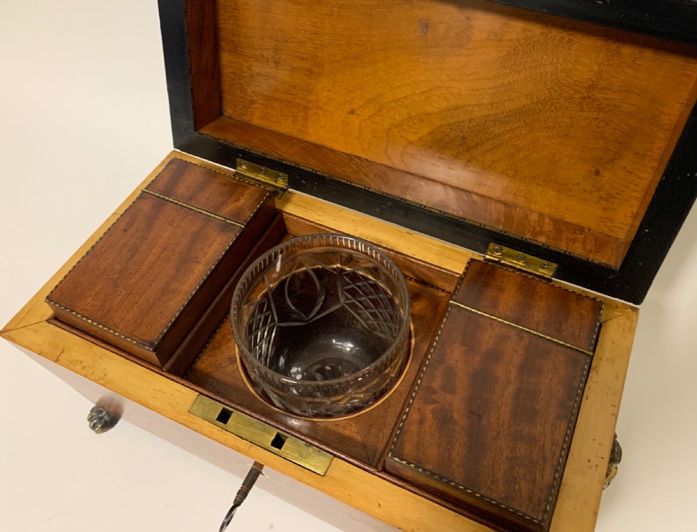 Regency Mahogany Sarcophagus Tea Caddy View XI