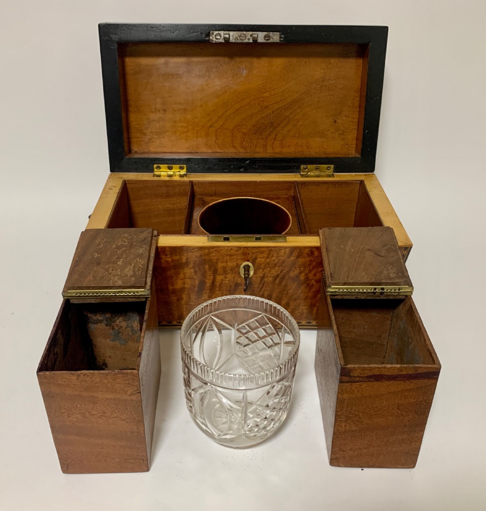 Regency Mahogany Sarcophagus Tea Caddy View XII