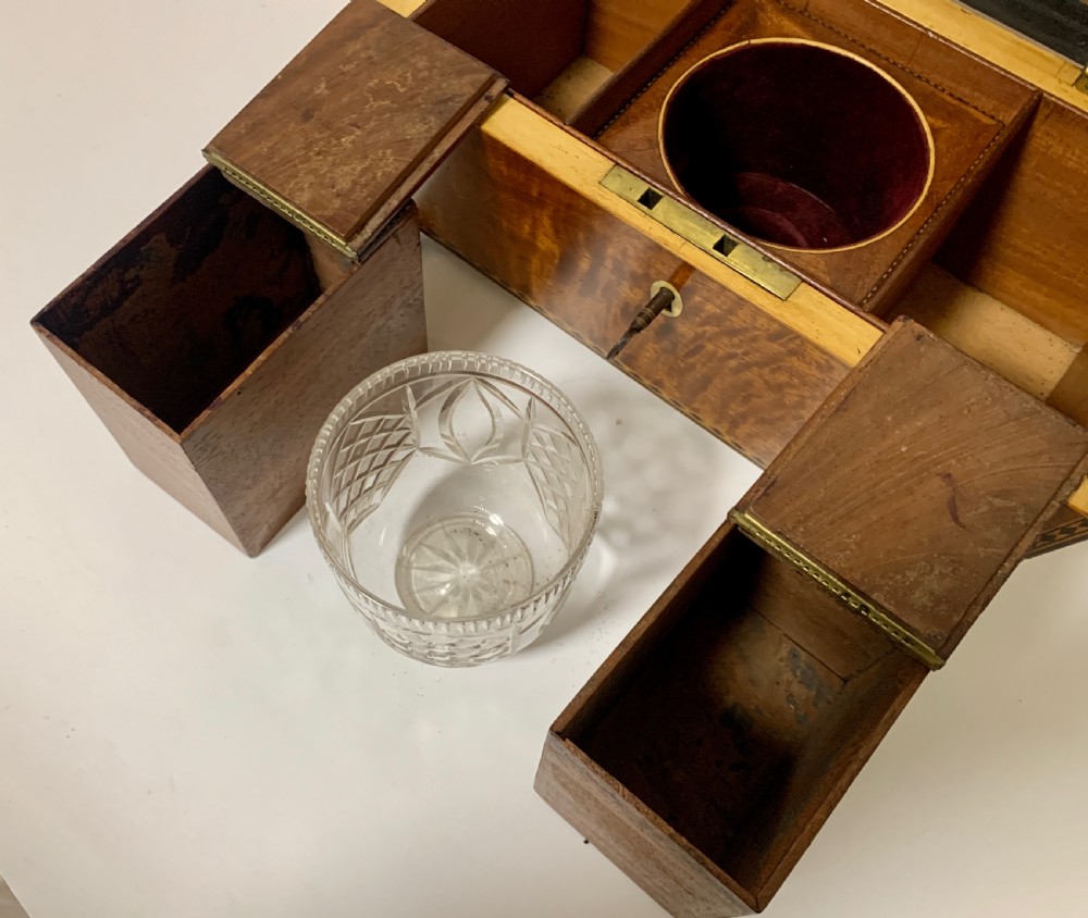 Regency Mahogany Sarcophagus Tea Caddy View XIII