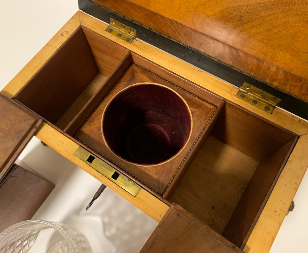 Regency Mahogany Sarcophagus Tea Caddy View XV