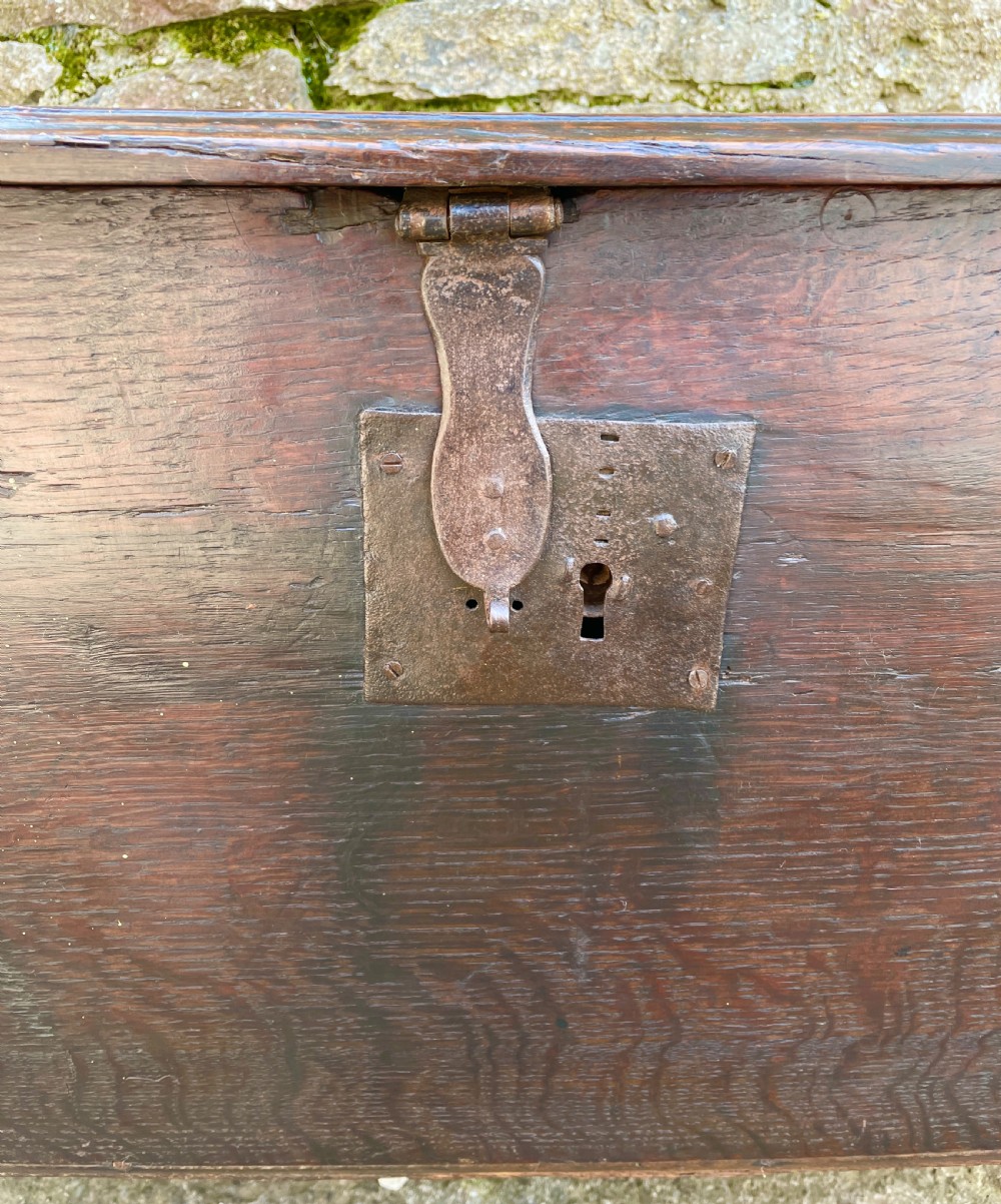 Early 18th Century Planked Oak Coffer View V