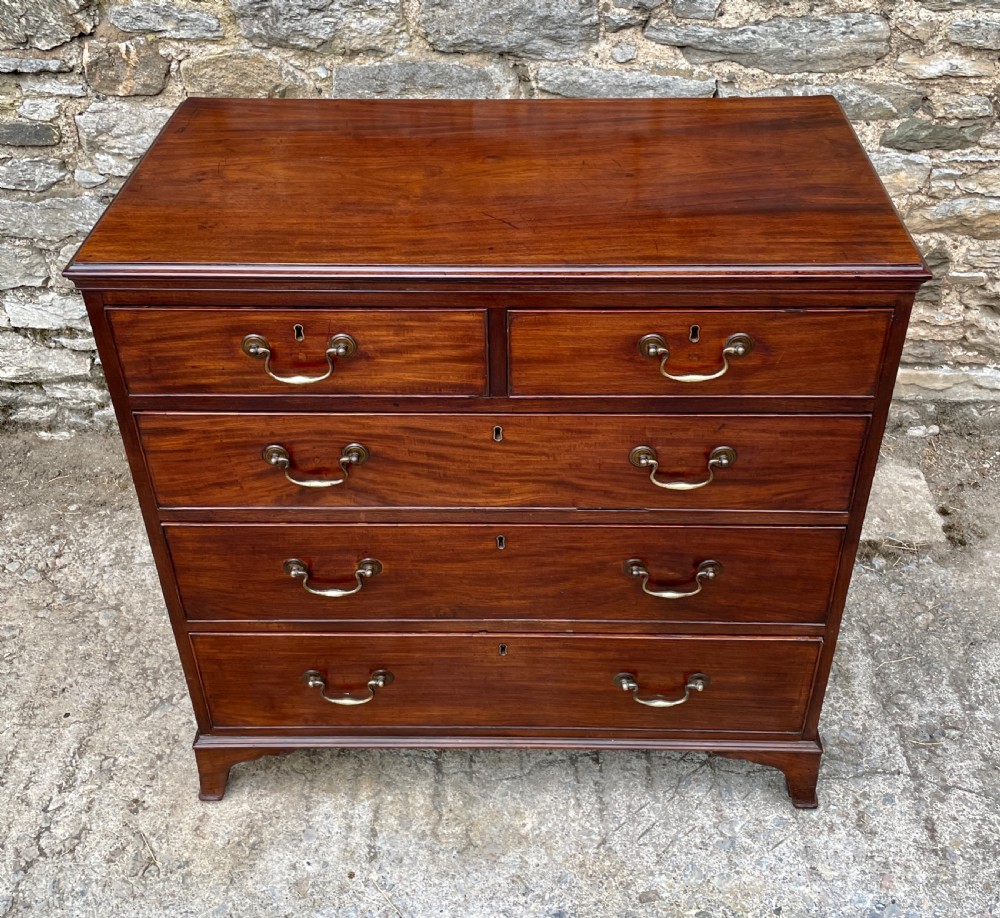 Small Georgian Mahogany Chest of Drawers View IV