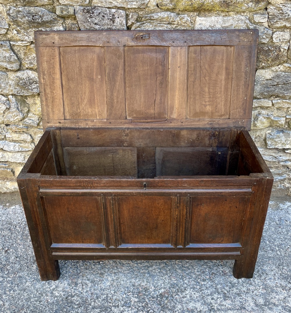 18th Century Panelled Oak Coffer View III