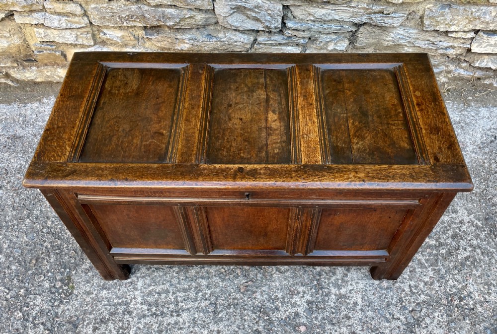 18th Century Panelled Oak Coffer View IV