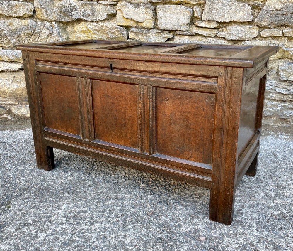 18th Century Panelled Oak Coffer View XIII