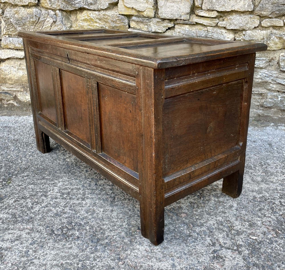 18th Century Panelled Oak Coffer View XIV