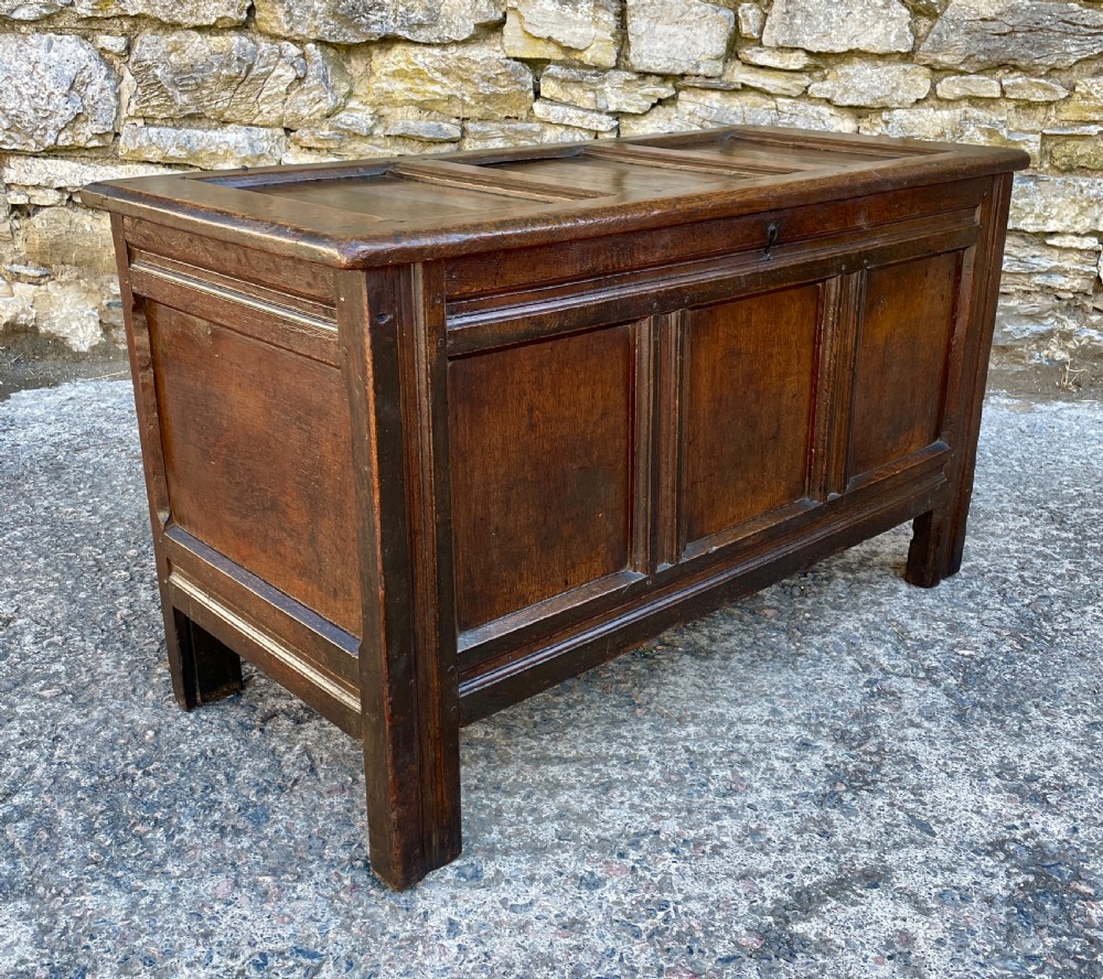 18th Century Panelled Oak Coffer View XXIII