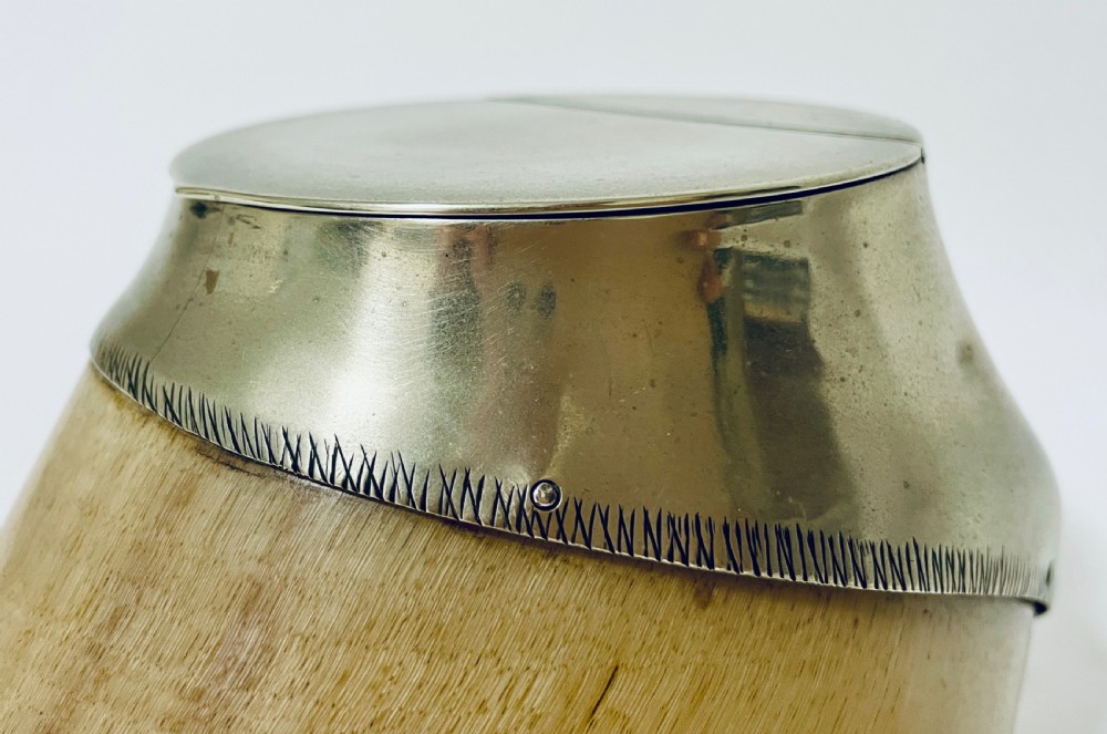 Antique Taxidermy Horse Hoof Silver Plated Vesta Match Holder View VIII