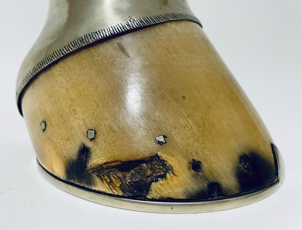 Antique Taxidermy Horse Hoof Silver Plated Vesta Match Holder View XV