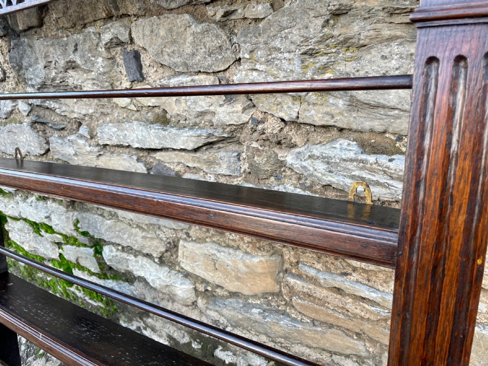 Georgian Oak Delft Wall Rack View XIII