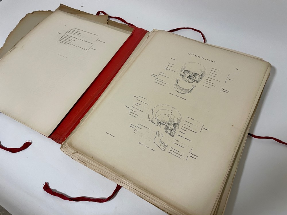 First Edition Folio Anatomie Artistique 1890 View XIII