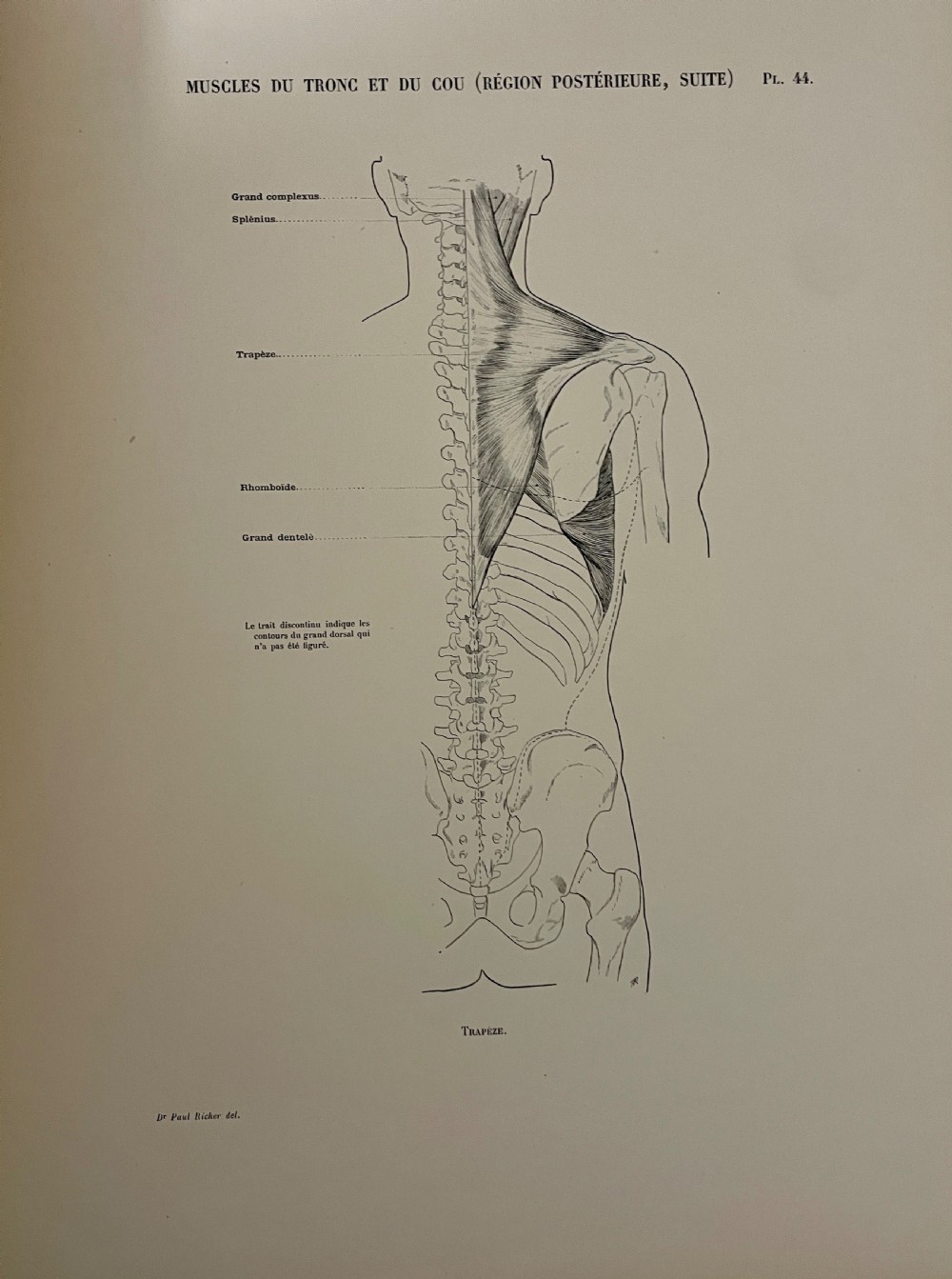 First Edition Folio Anatomie Artistique 1890 View XV