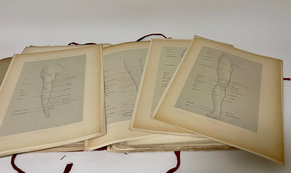 First Edition Folio Anatomie Artistique 1890 View XVII